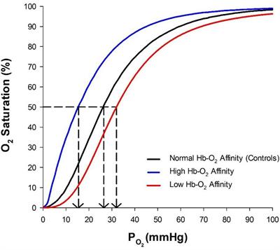 Influence of High Hemoglobin-Oxygen Affinity on Humans During Hypoxia